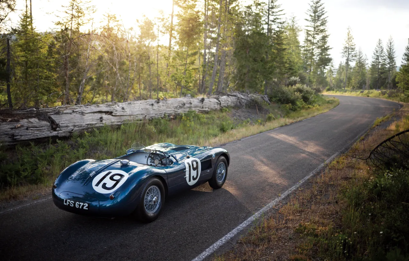 Photo wallpaper Jaguar, Jaguar, 1951, C-Type