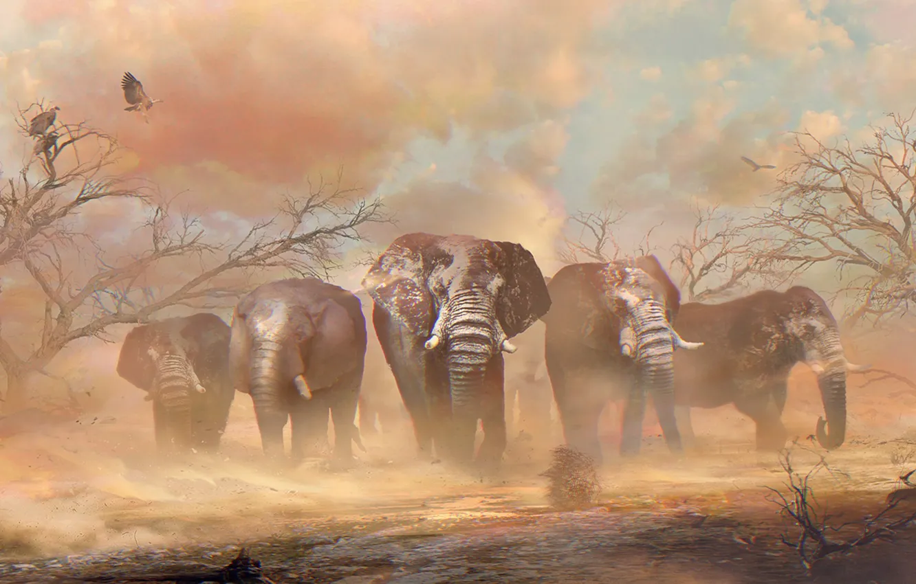 Photo wallpaper sand, trees, desert, elephant, vulture, Africa