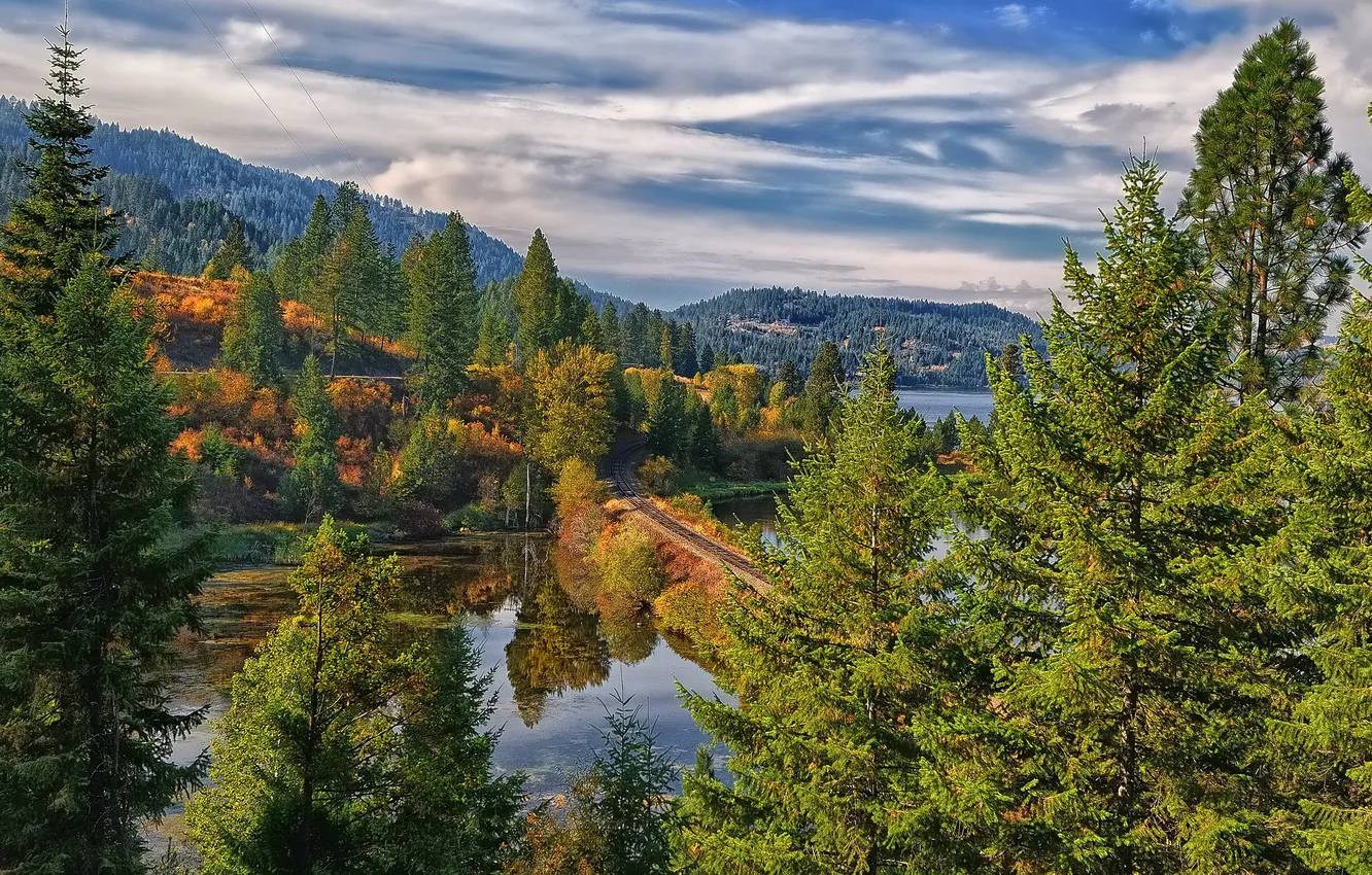 Photo wallpaper forest, trees, river, railroad, Idaho, Saint Maries River