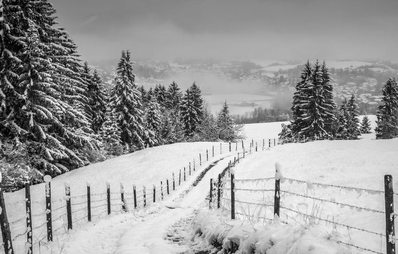 Photo wallpaper misty, road, winter, snow, fog, hills, fence, village