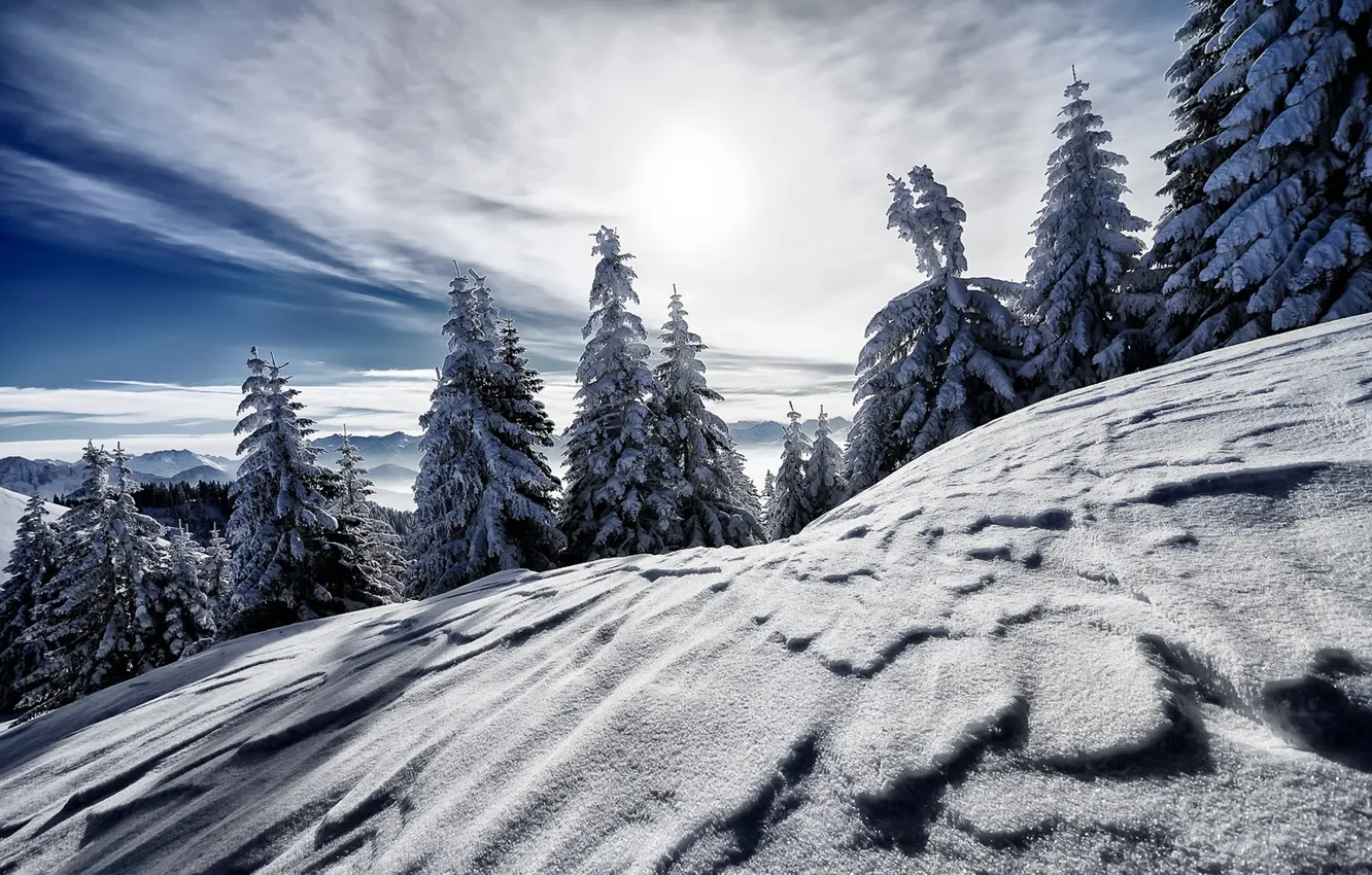 Photo wallpaper snow, mountains, nature, tree