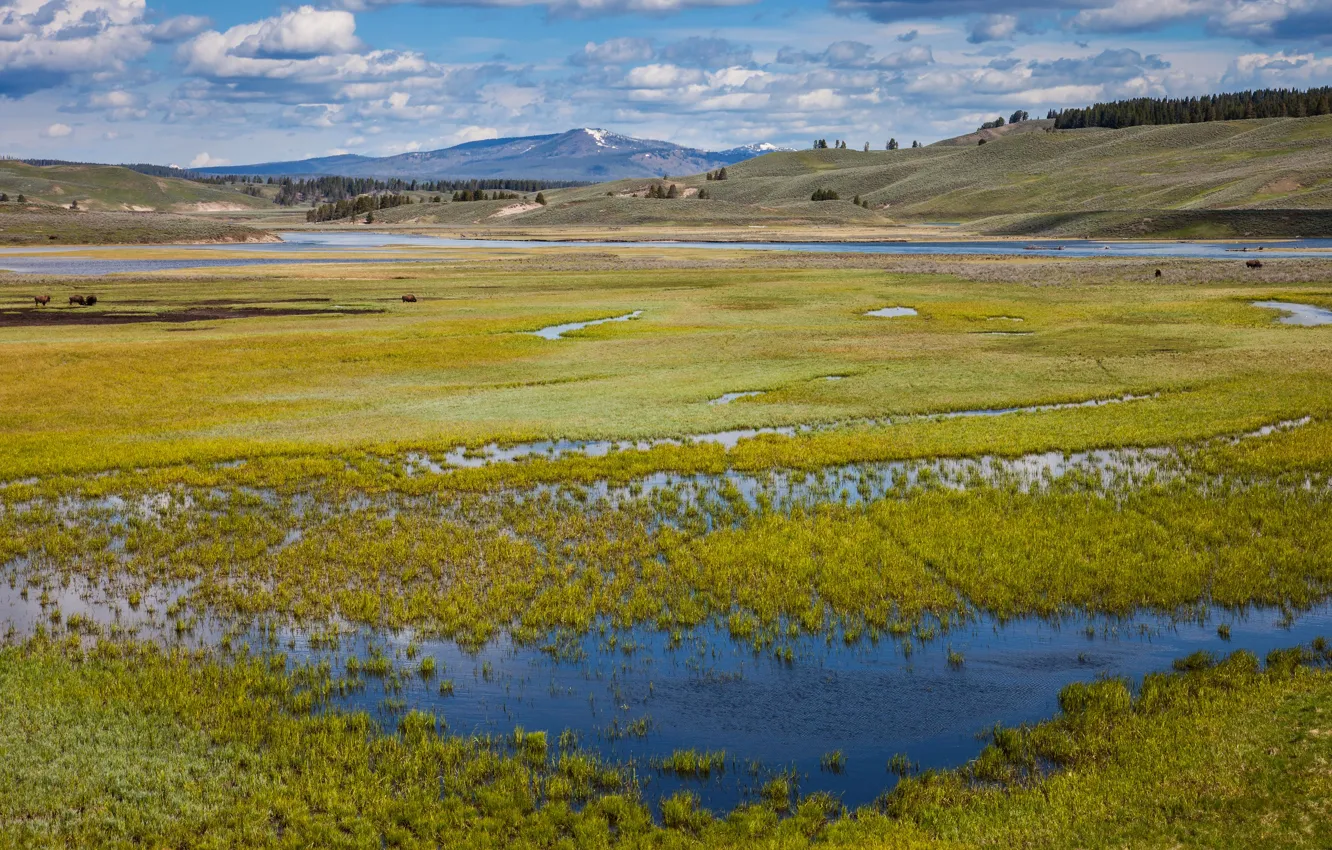Photo wallpaper shore, mountains, field, pasture, valley, river