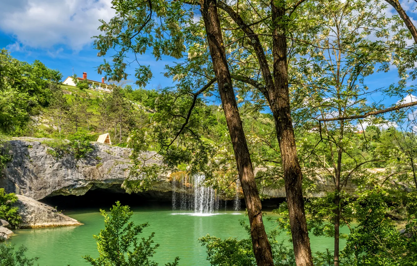Photo wallpaper greens, summer, the sky, the sun, clouds, trees, branches, rocks