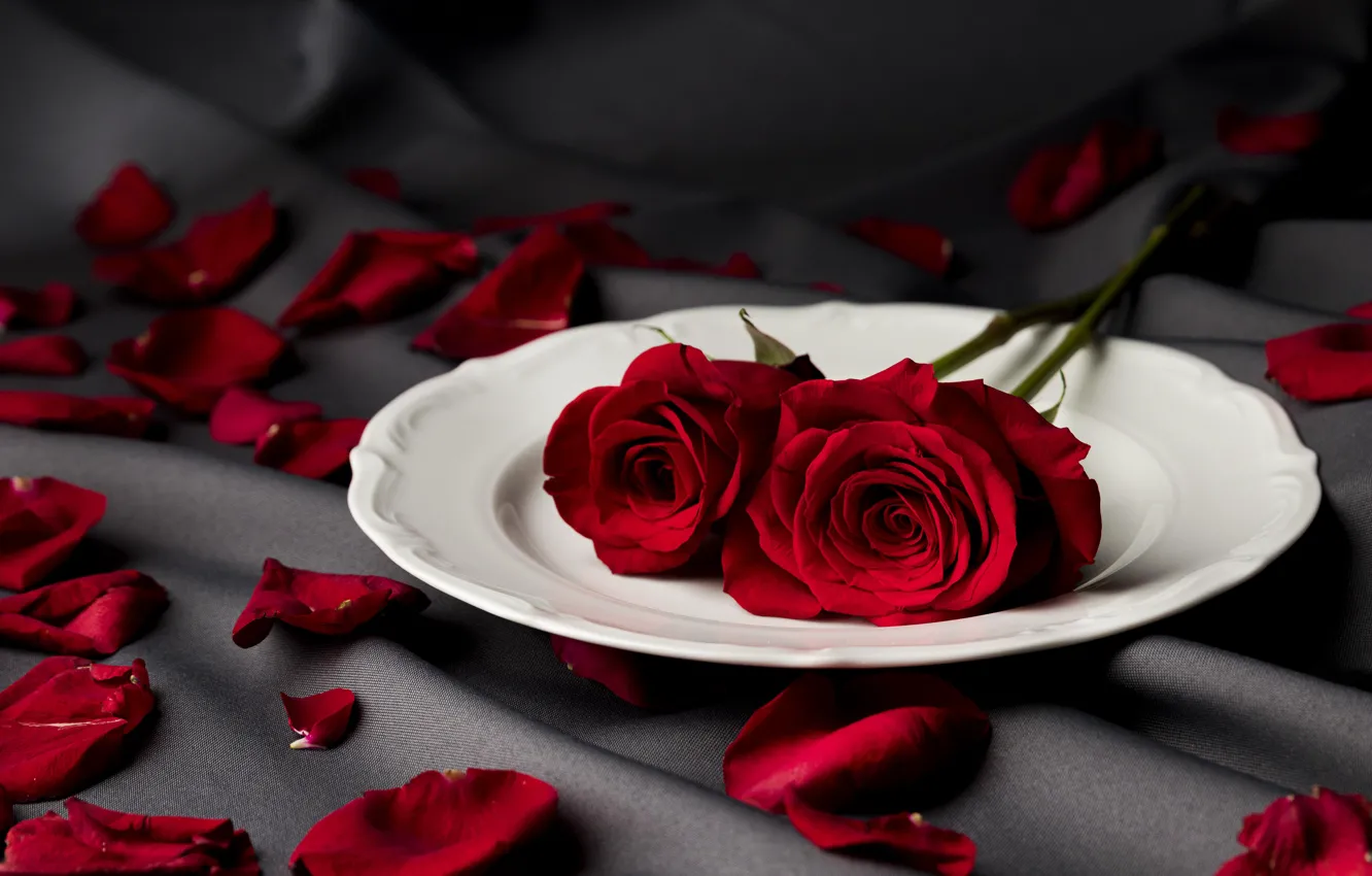 Photo wallpaper love, flowers, romance, love, happy, flowers, romantic, 14 Feb