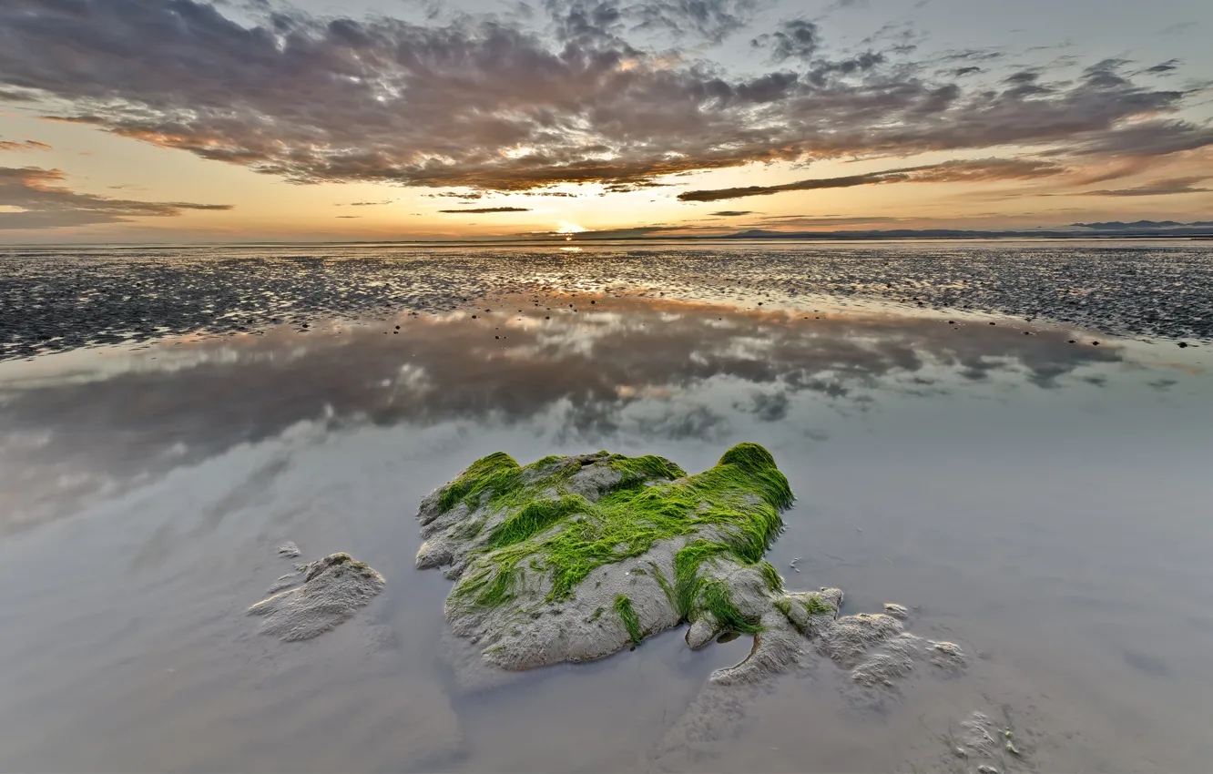 Photo wallpaper sea, clouds, algae, sunset, reflection, stone, stranded, shoots