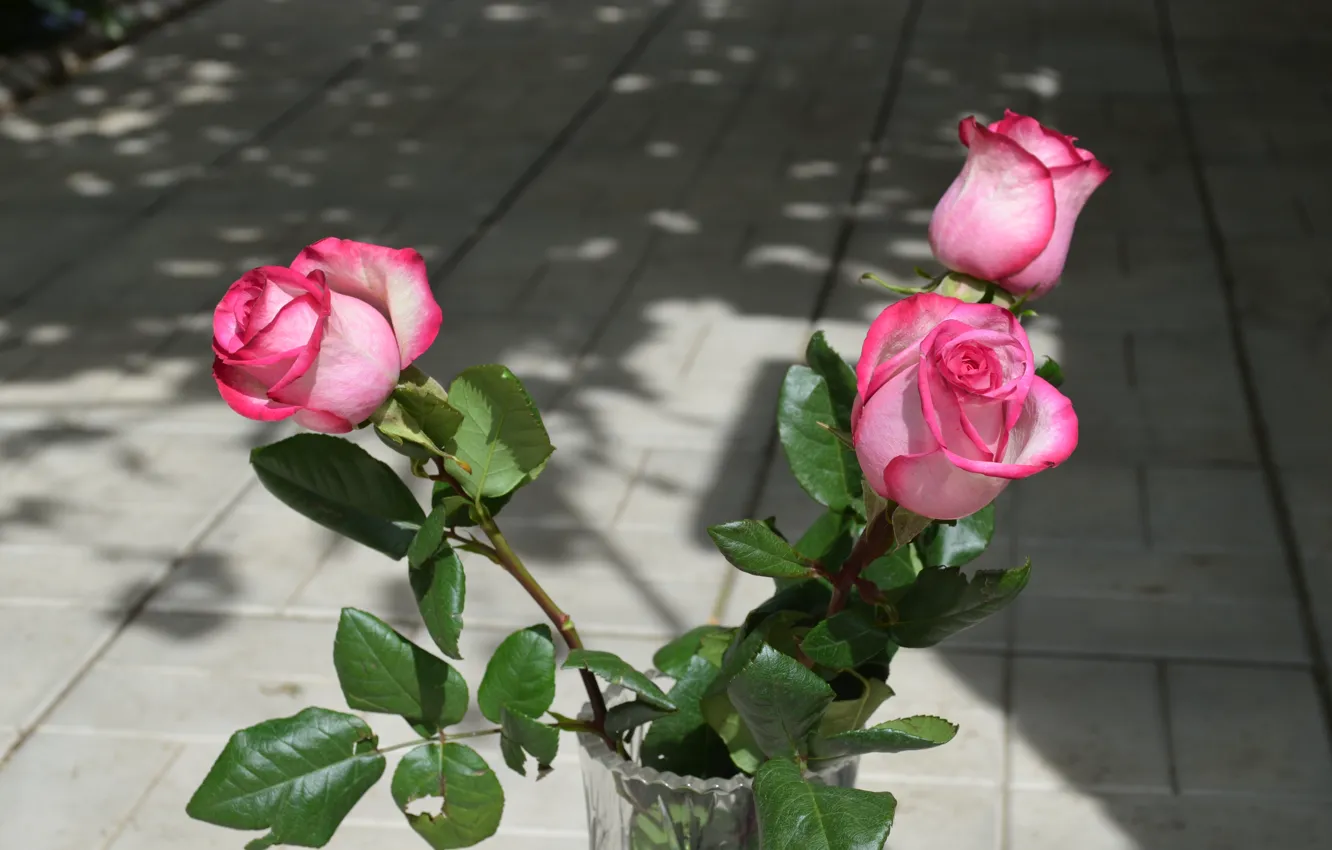 Photo wallpaper flowers, roses, vase, pink color