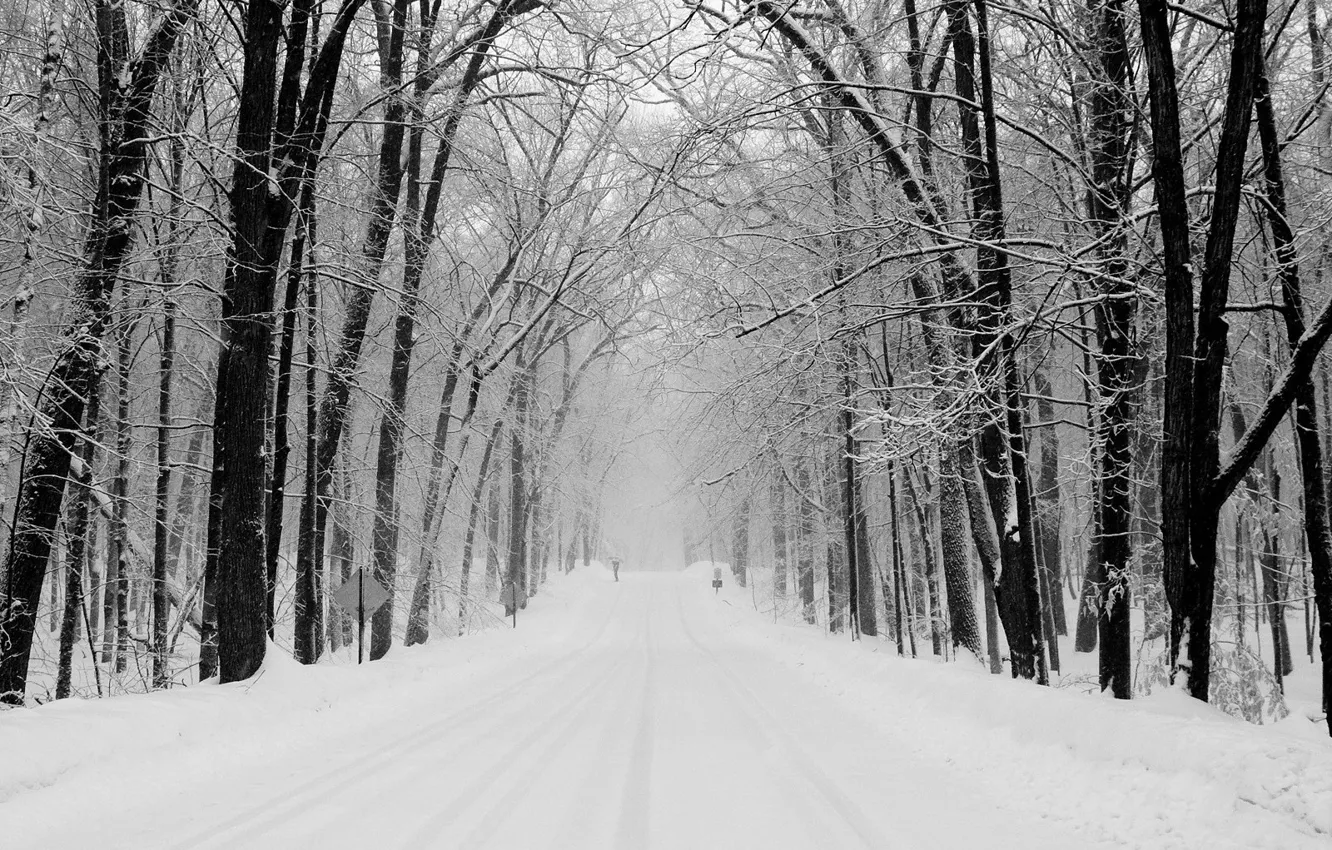 Photo wallpaper road, forest, snow