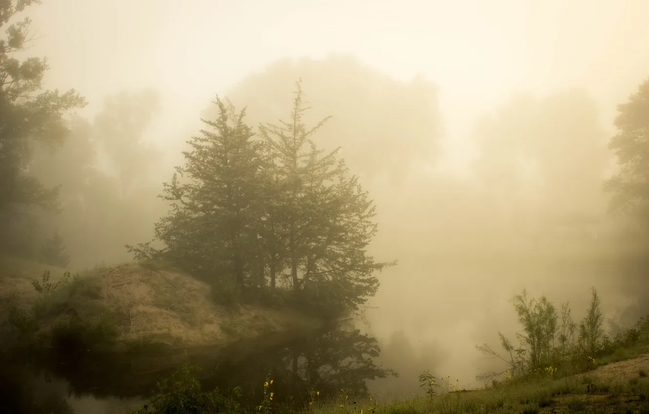 Photo wallpaper nature, fog, lake, morning