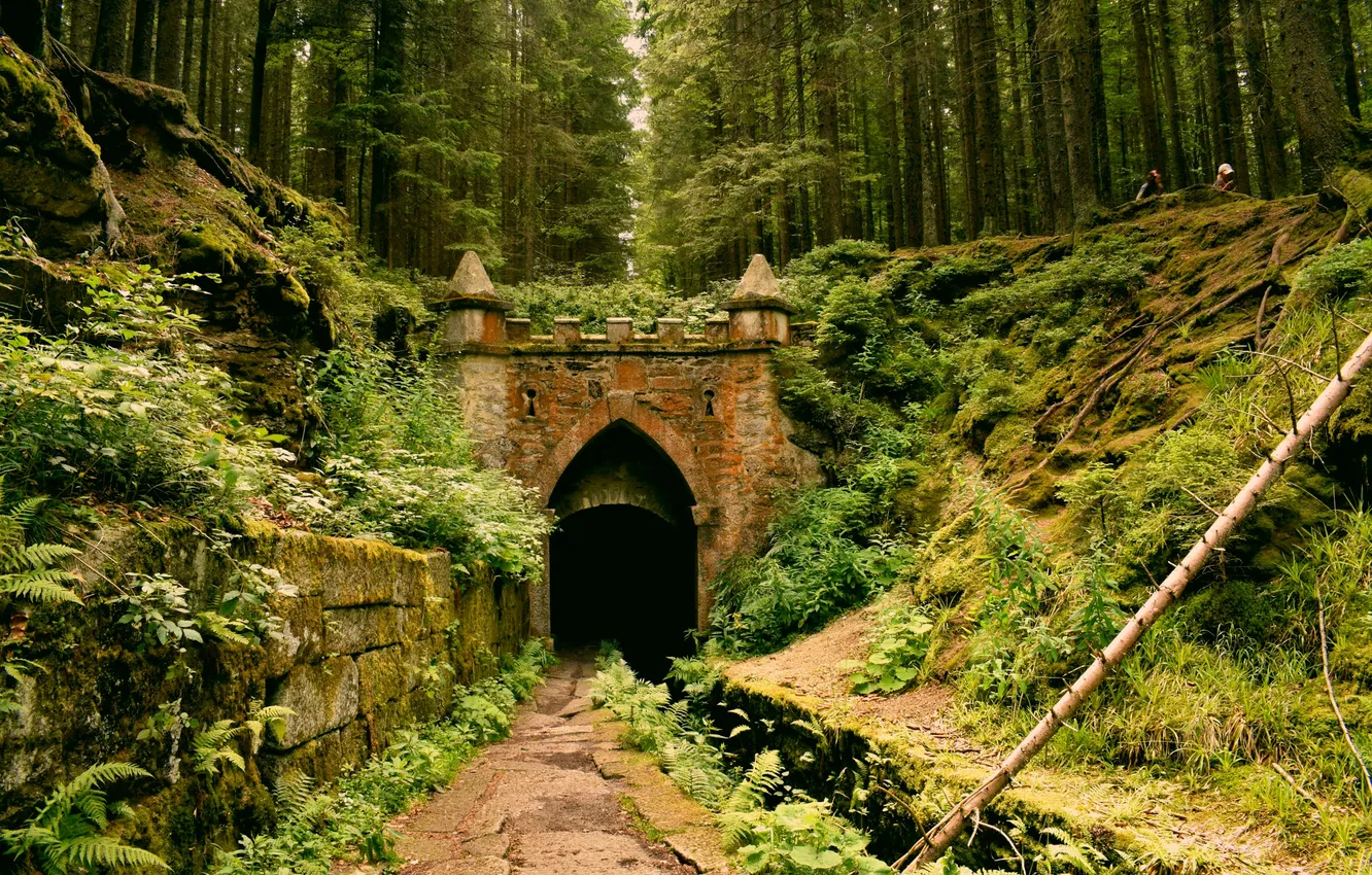 Photo wallpaper green, forest, trees, nature, leaves, ruins, castle, medieval