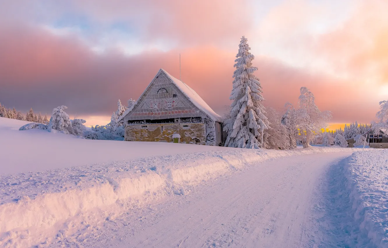 Photo wallpaper winter, road, snow, trees, landscape, nature, house, ate