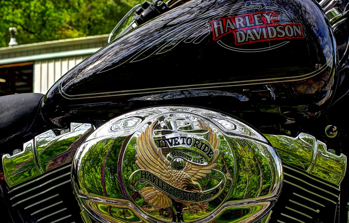 Photo wallpaper hdr, chrome, Harley Davidson, cylinders, harley, tank, live to ride