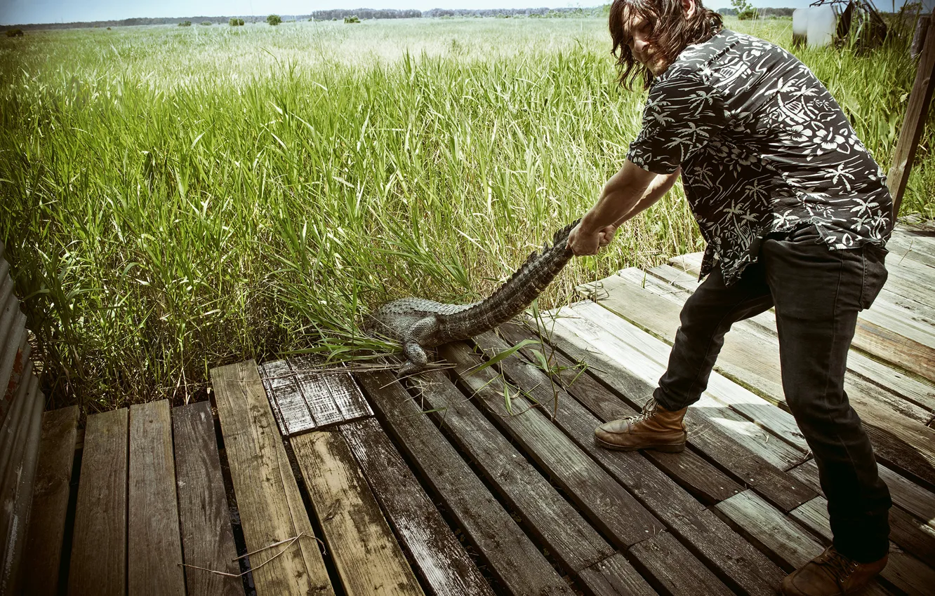 Photo wallpaper grass, photo, Board, the situation, crocodile, tail, actor, bridges