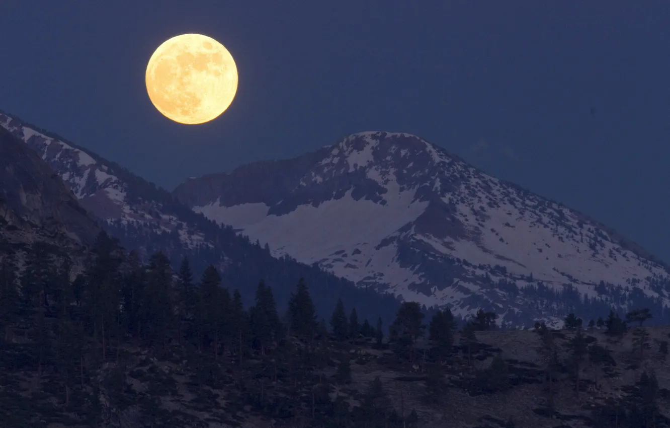 Photo wallpaper the sky, snow, trees, mountains, night, nature, rocks, the moon