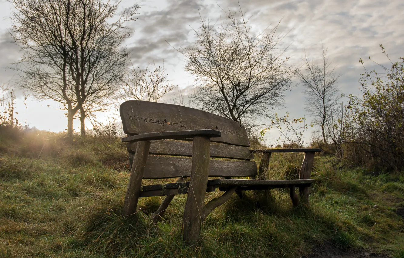 Photo wallpaper memory, morning, bench