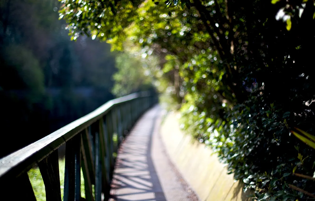 Photo wallpaper trees, glare, foliage, blur, railings, the bridge, lush