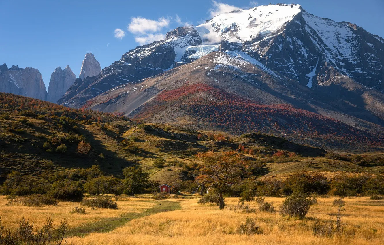 Photo wallpaper trees, landscape, mountains, snow, hills