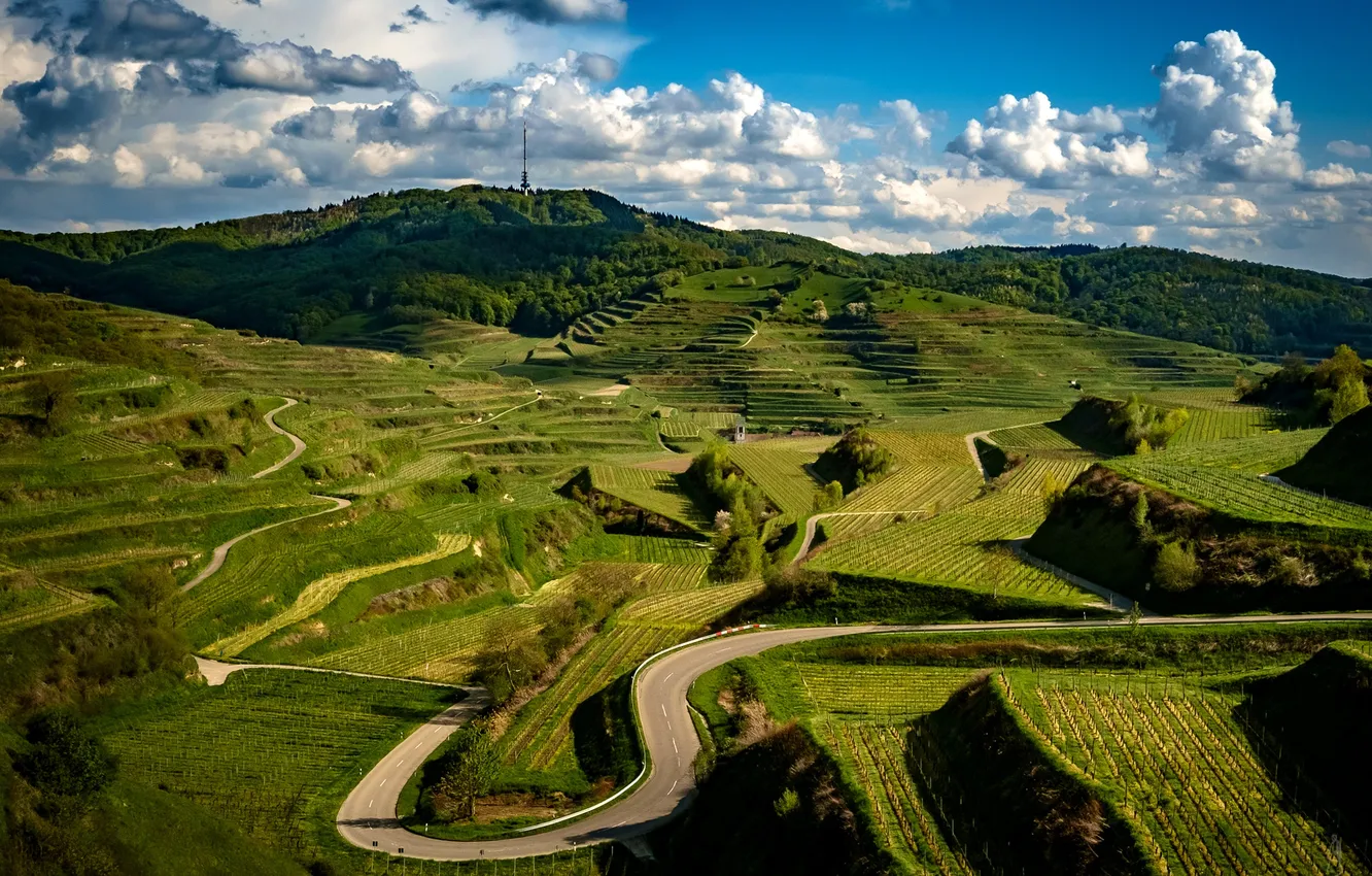 Photo wallpaper road, greens, field, clouds, hills, Germany, plantation, The Kaiserstuhl Hills