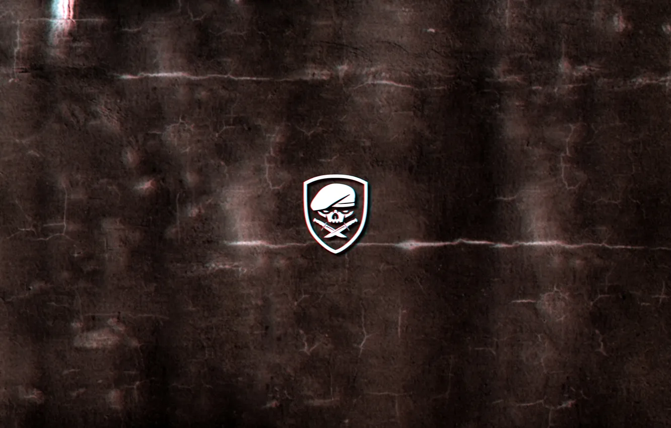 Photo wallpaper wall, war, the game, skull, minimalism, texture, landing, Medal of Honor