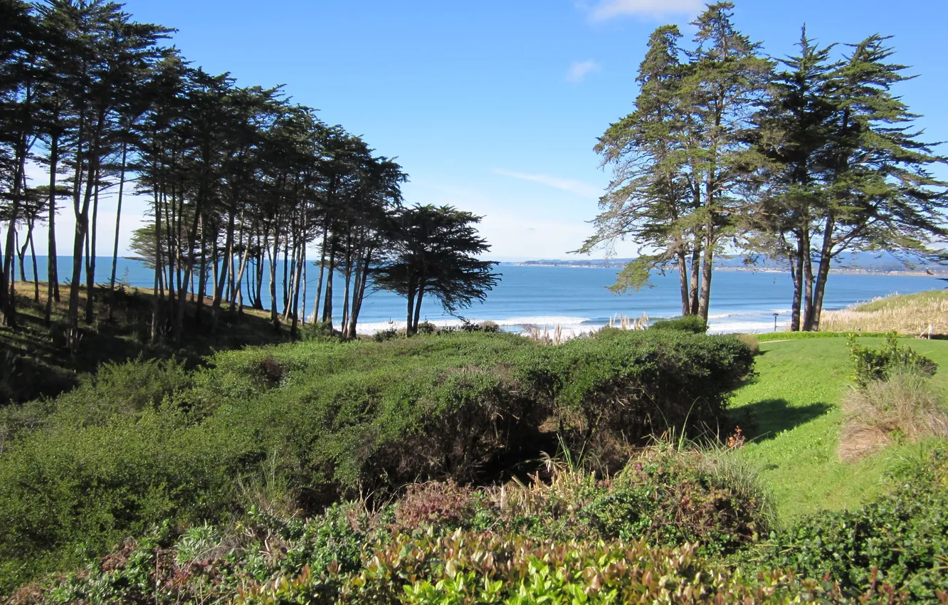 Photo wallpaper sea, beach, shore