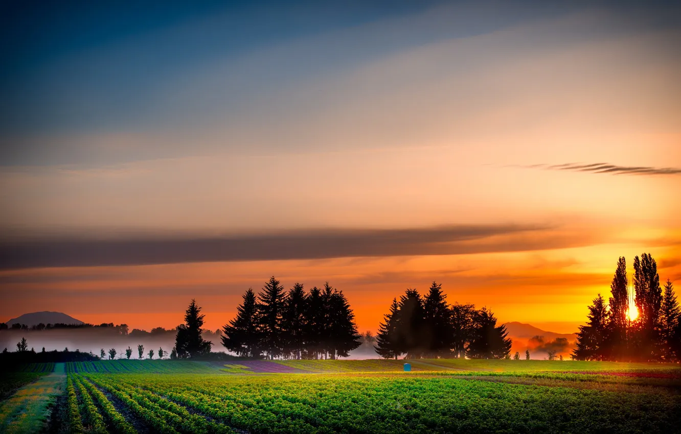 Photo wallpaper field, landscape, sunset