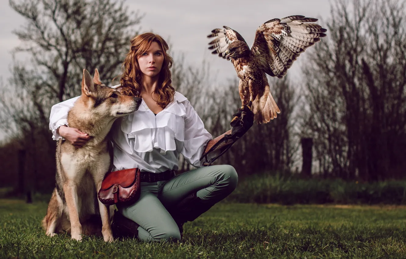 Photo wallpaper girl, bird, dog