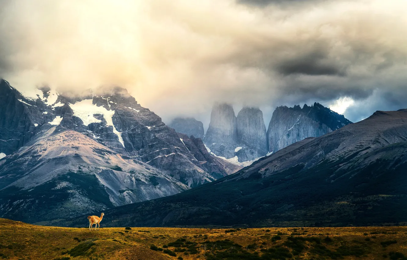 Photo wallpaper field, clouds, mountains, tops, Lama