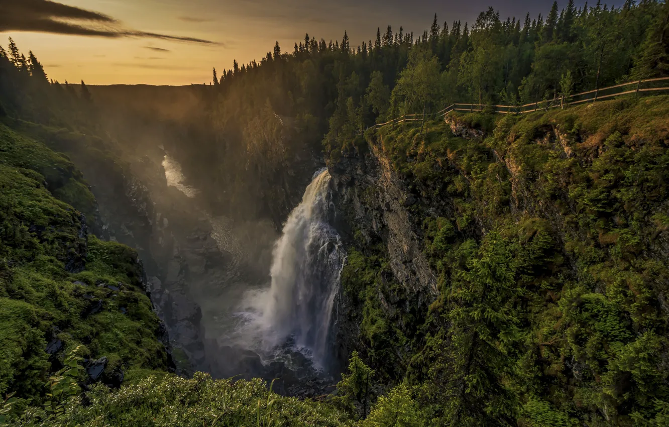 Photo wallpaper forest, rocks, waterfall, canyon, Sweden, Sweden, Hällingsåfallet Waterfall