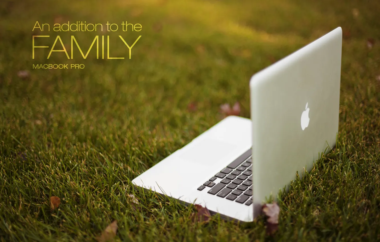 Photo wallpaper grass, apple, laptop, MacBook Pro