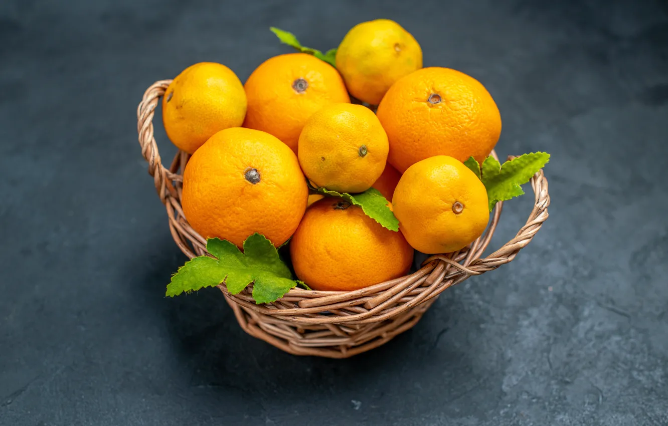 Photo wallpaper leaves, grey background, basket, tangerines