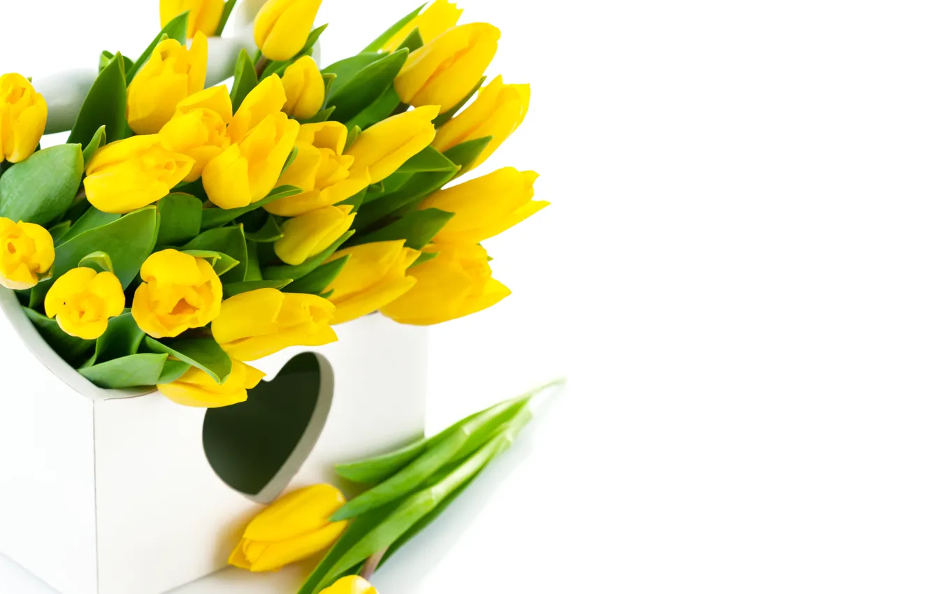 Photo wallpaper flowers, yellow, tulips