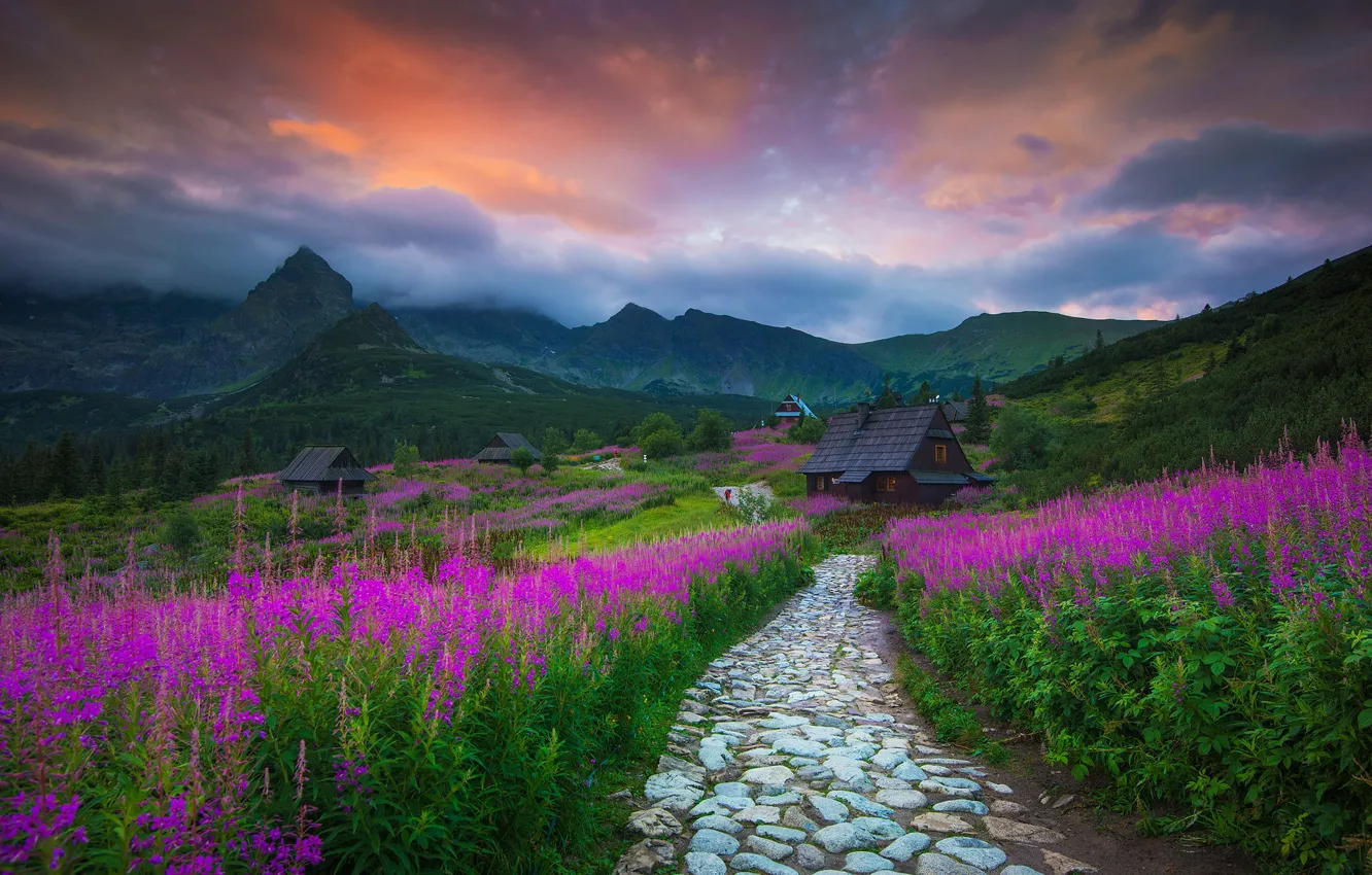 Photo wallpaper flowers, mountains, Poland, house, path, Tatras, Ivan-tea