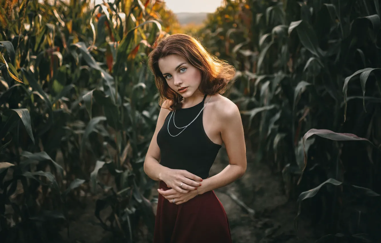Photo wallpaper field, look, girl, pose, corn, hands, Jiří Tulach