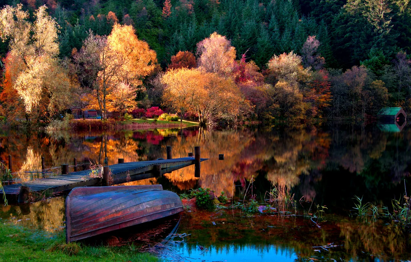 Photo wallpaper autumn, forest, grass, leaves, landscape, nature, lake, boat