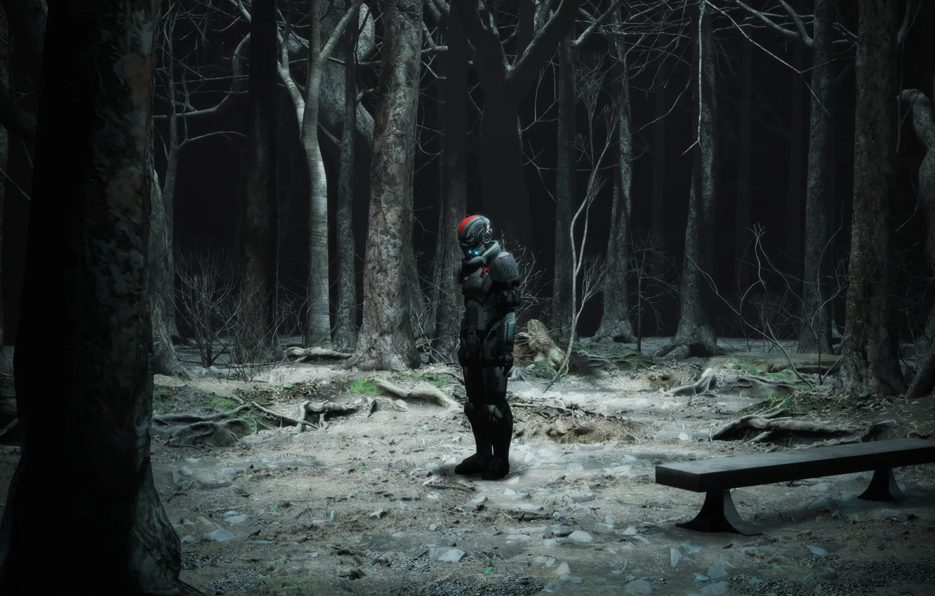 Photo wallpaper forest, trees, equipment, bench, Now youre alone Commander