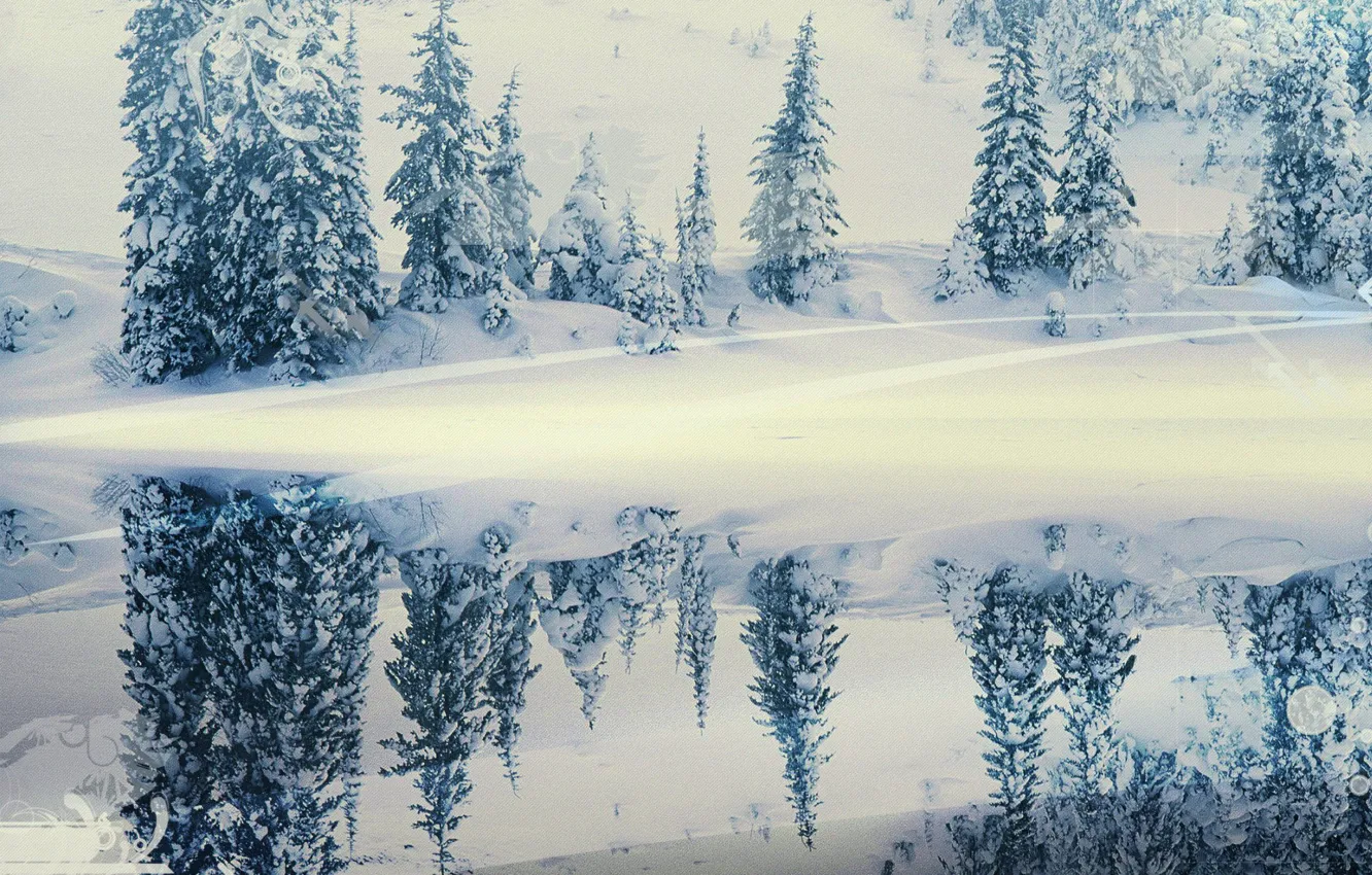 Photo wallpaper winter, snow, reflection, tree