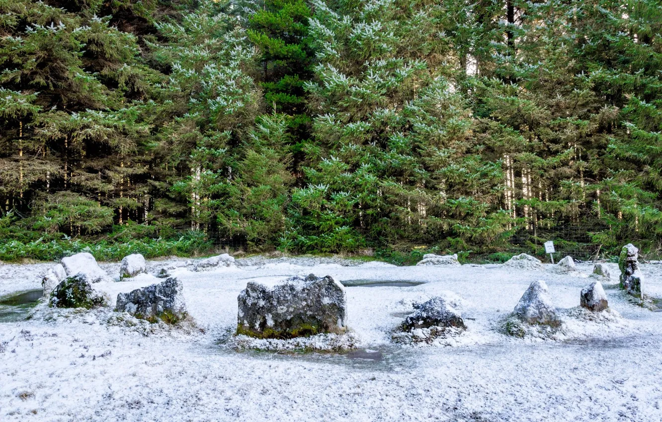 Photo wallpaper winter, forest, landscape, nature, stones, beauty, the first snow