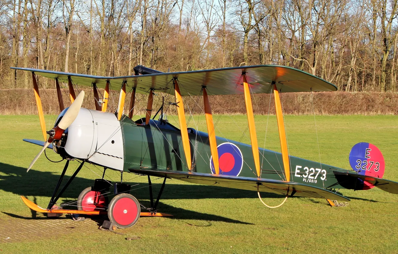 Photo wallpaper field, grass, British, double, basic, Avro 504 Series, training aircraft, Avro 504 Series