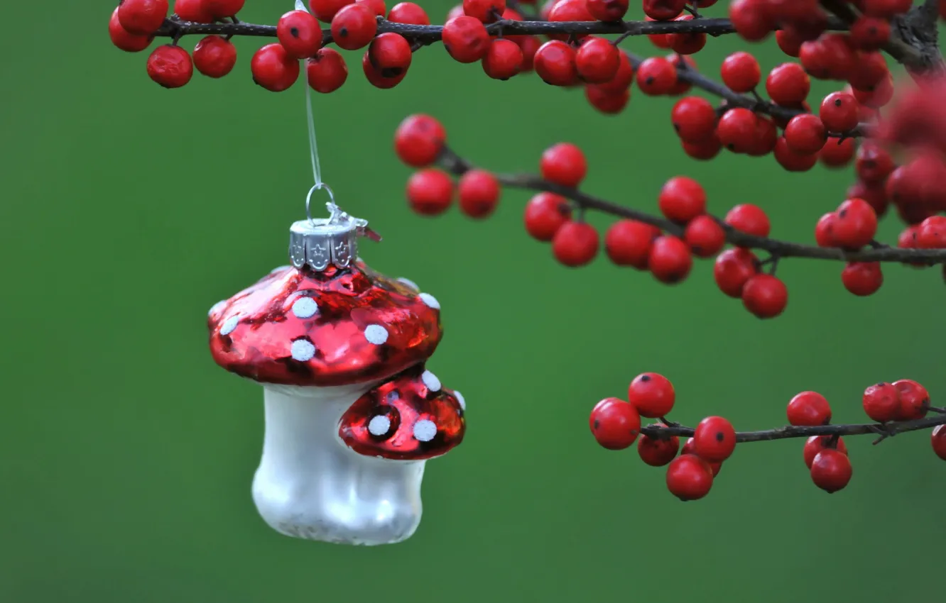 Photo wallpaper macro, holiday, toy