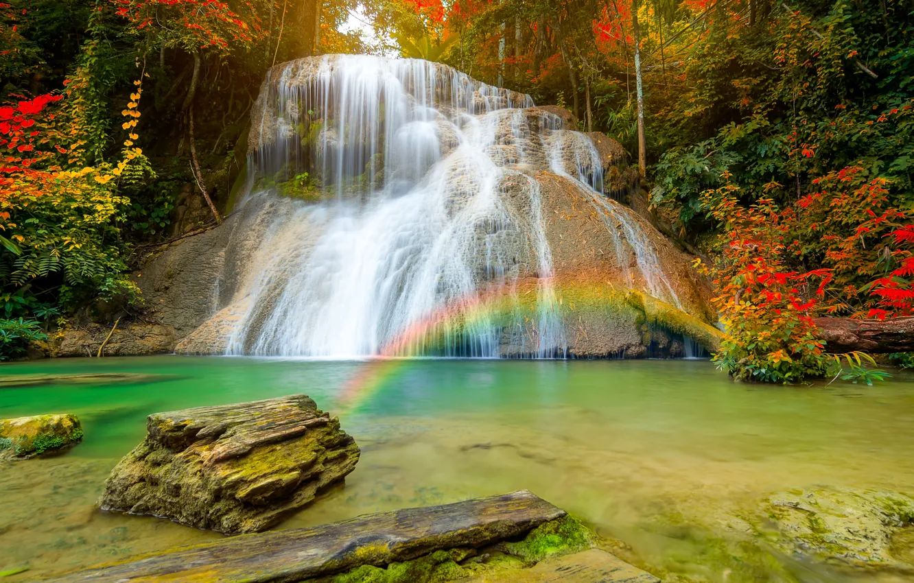 Photo wallpaper autumn, forest, nature, waterfall, rainbow, stream