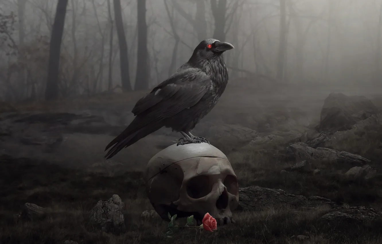 Photo wallpaper forest, Gothic, bird, skull, roses, mystic, sake, rose