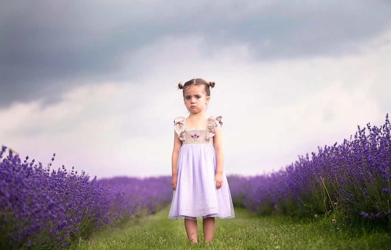 Photo wallpaper dress, girl, lavender