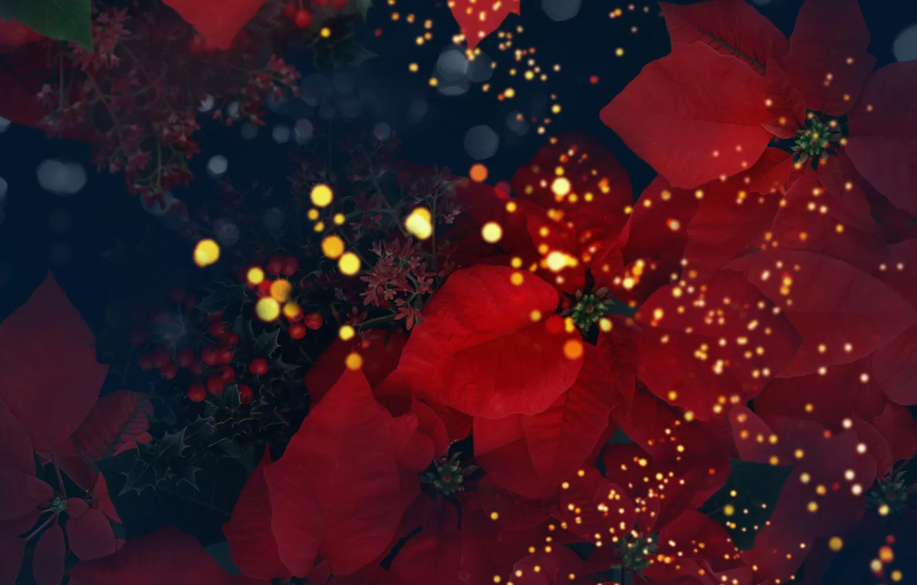 Photo wallpaper leaves, red, red, leaves, puansetiya