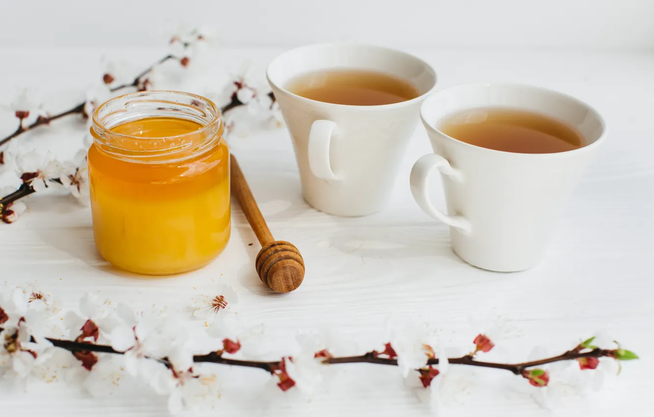 Photo wallpaper flowers, branch, tea, spring, honey