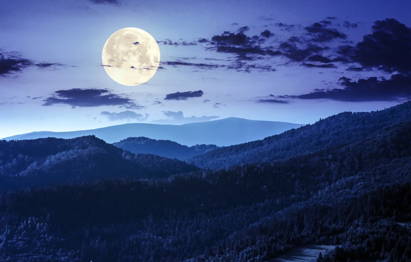 Photo wallpaper forest, the sky, stars, clouds, night, nature, hills, the moon