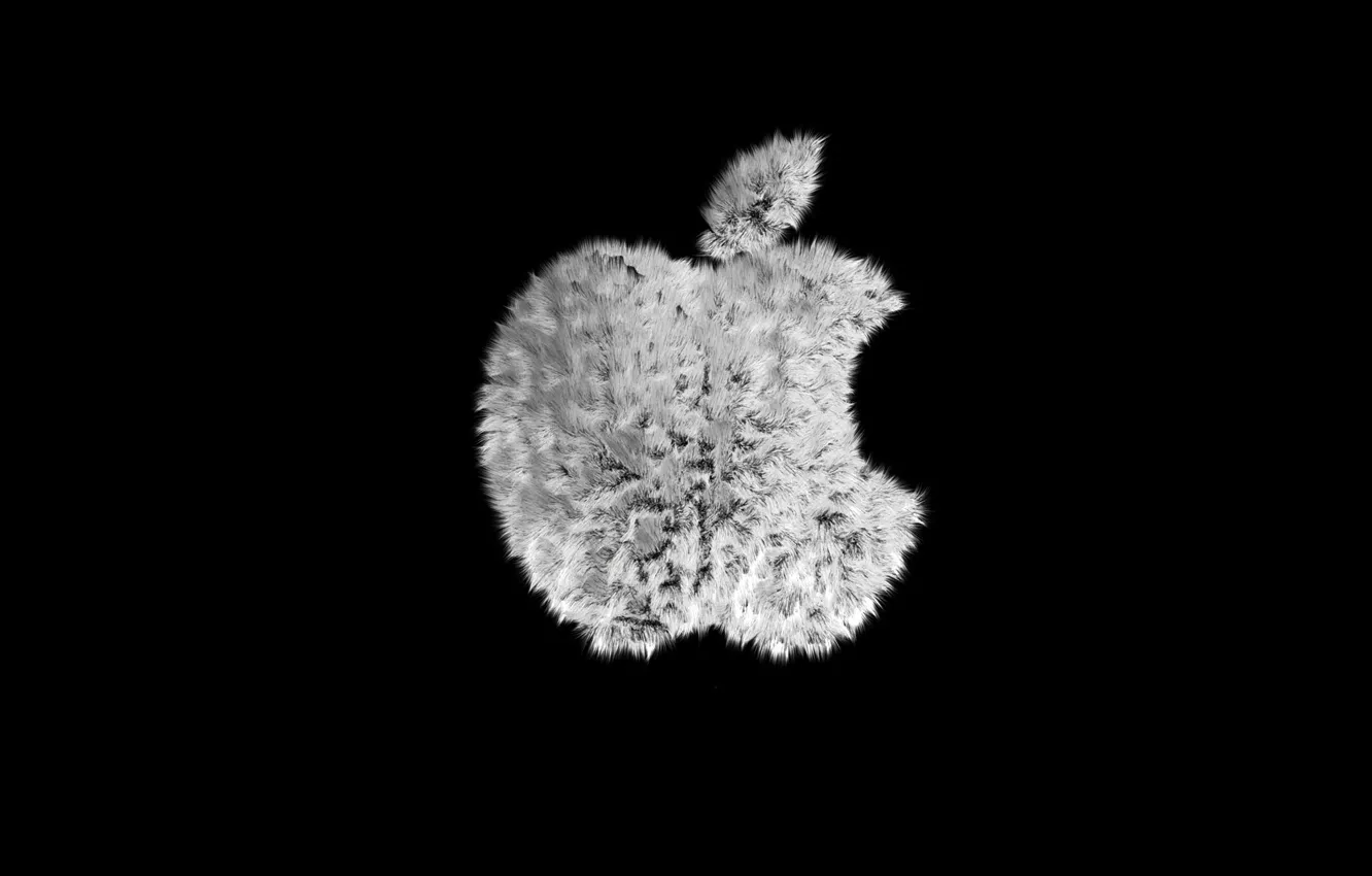 Photo wallpaper apples, apple, fur, black background