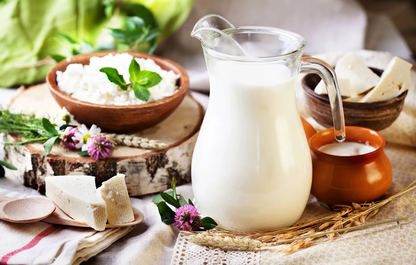 Photo wallpaper cheese, milk, cheese, milk