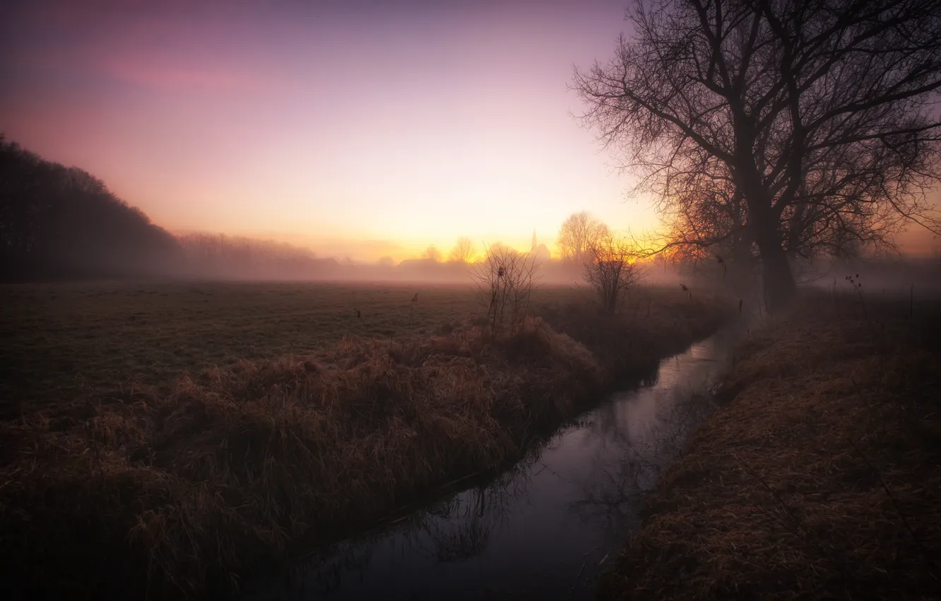 Photo wallpaper field, sunset, nature, fog