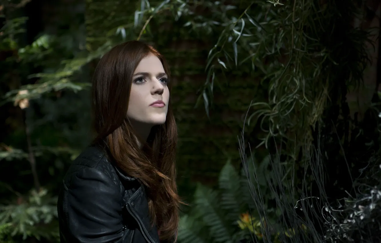 Photo wallpaper girl, hair, jacket, red, is, blue eyes, looks, Rose Leslie