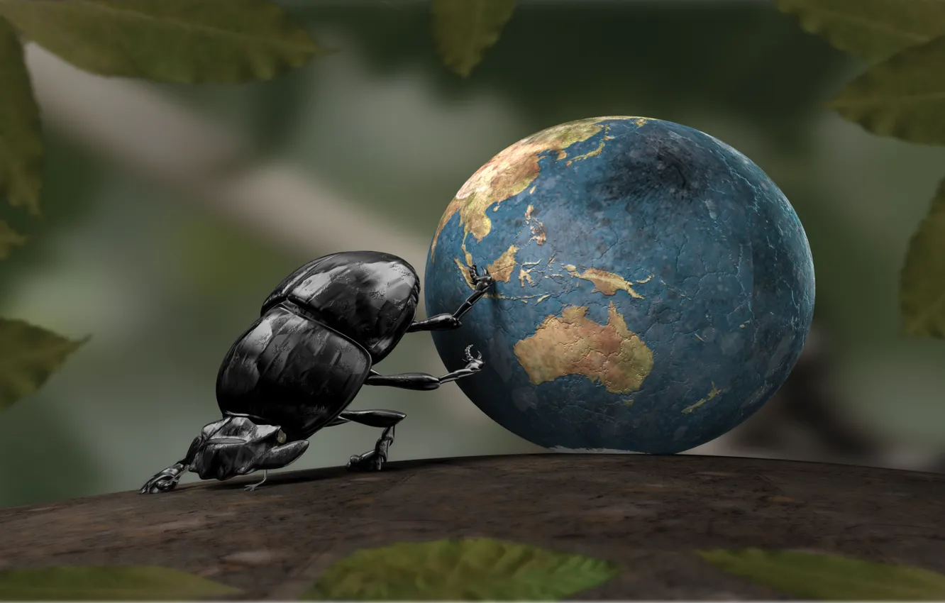 Photo wallpaper earth, Ball, SHUK beetle, Leaves