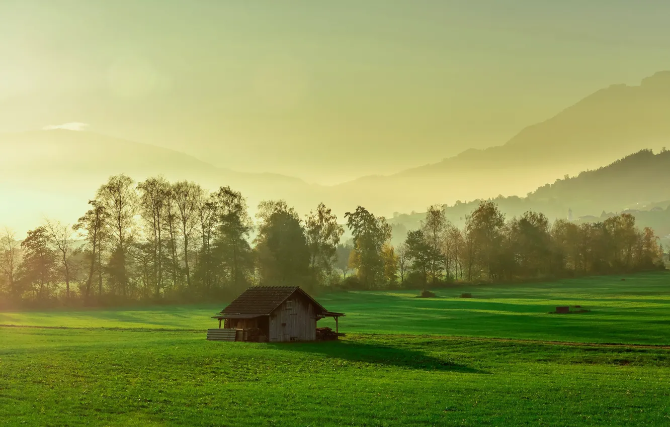 Photo wallpaper field, fog, home, morning